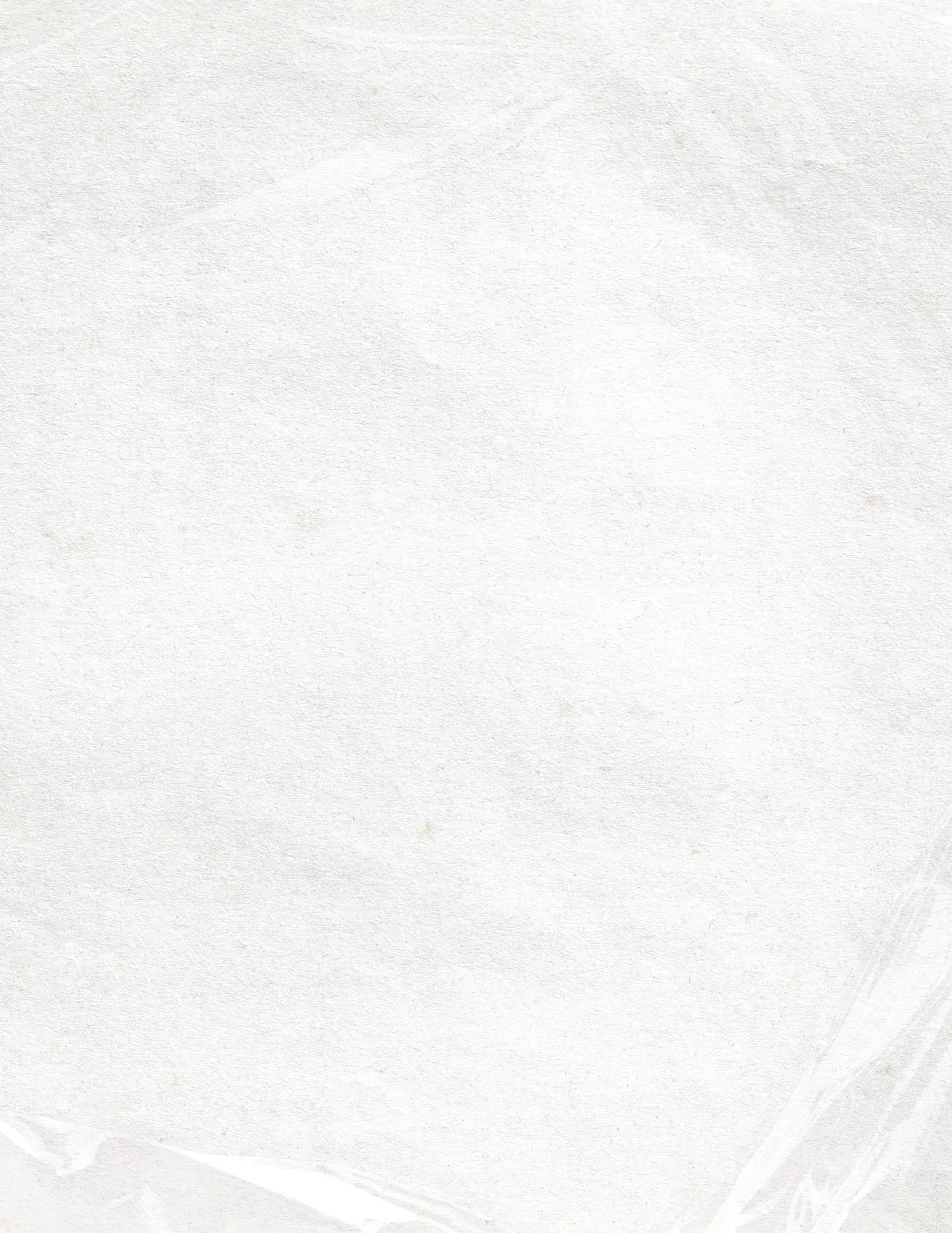 Perreito and Coffee Background Graphic